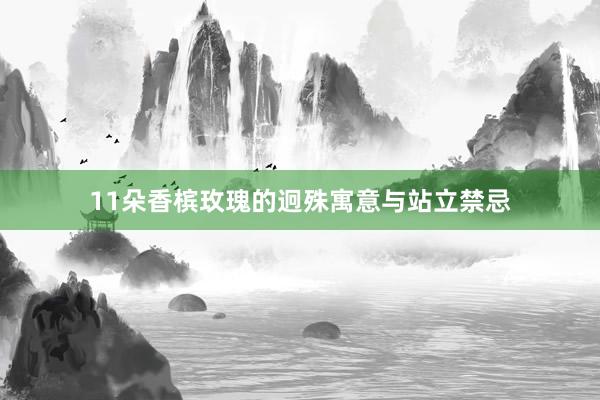 11朵香槟玫瑰的迥殊寓意与站立禁忌